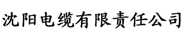 黄版本快手视频app电缆厂logo